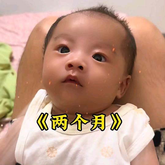 沈么小核桃（9.10浪莎溯源专场）