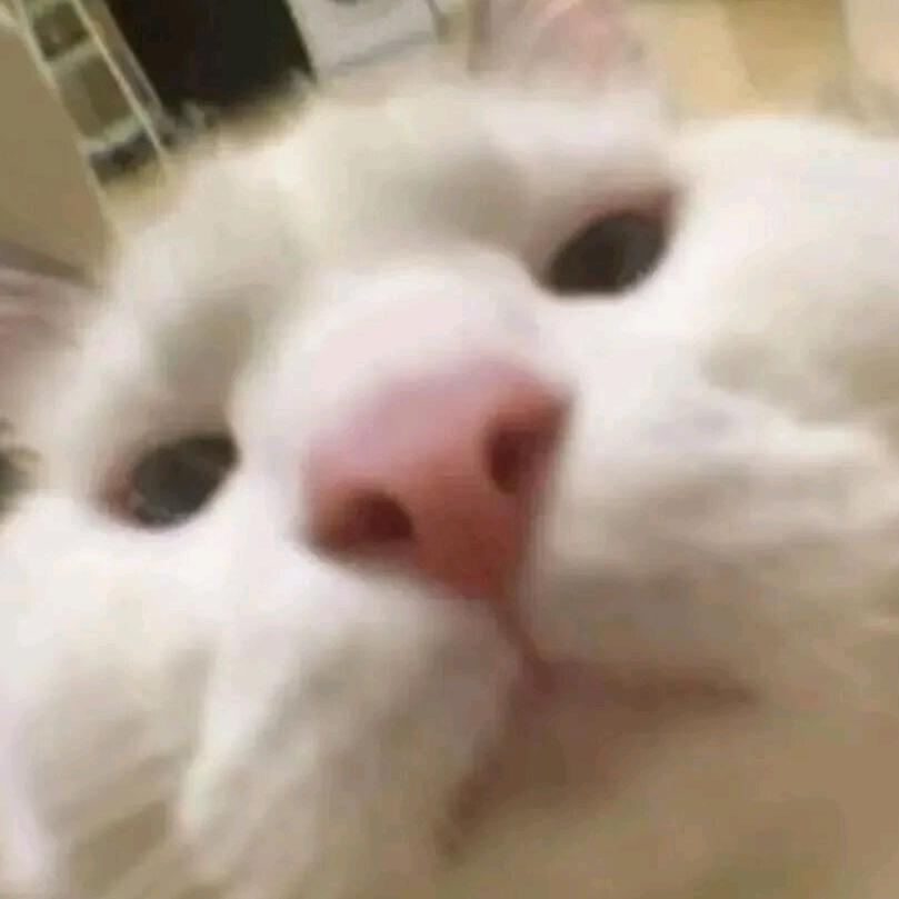☆︎.。.:*・゚☆︎.。.:*・゚☆︎
