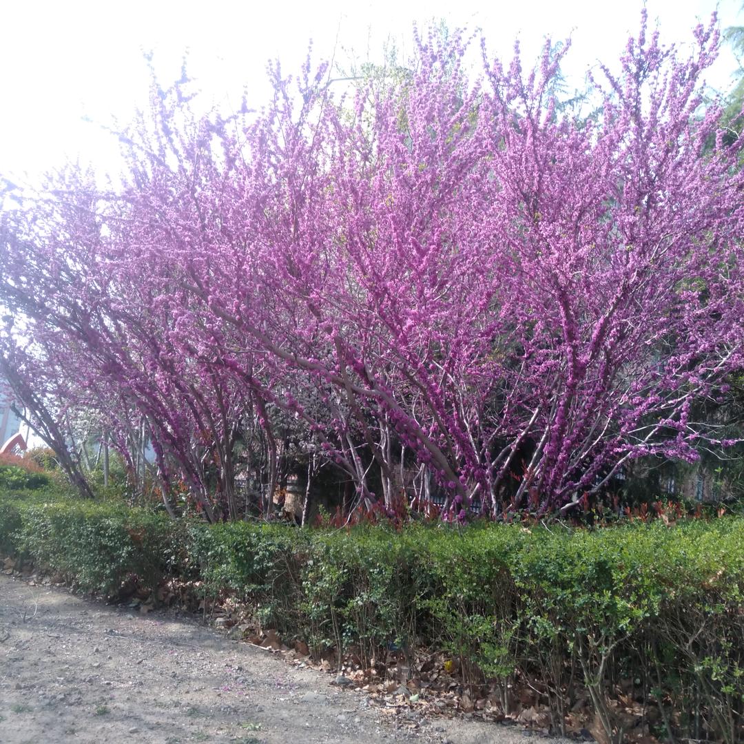 幸福久久
