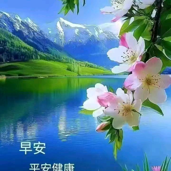 一人一猫的生活