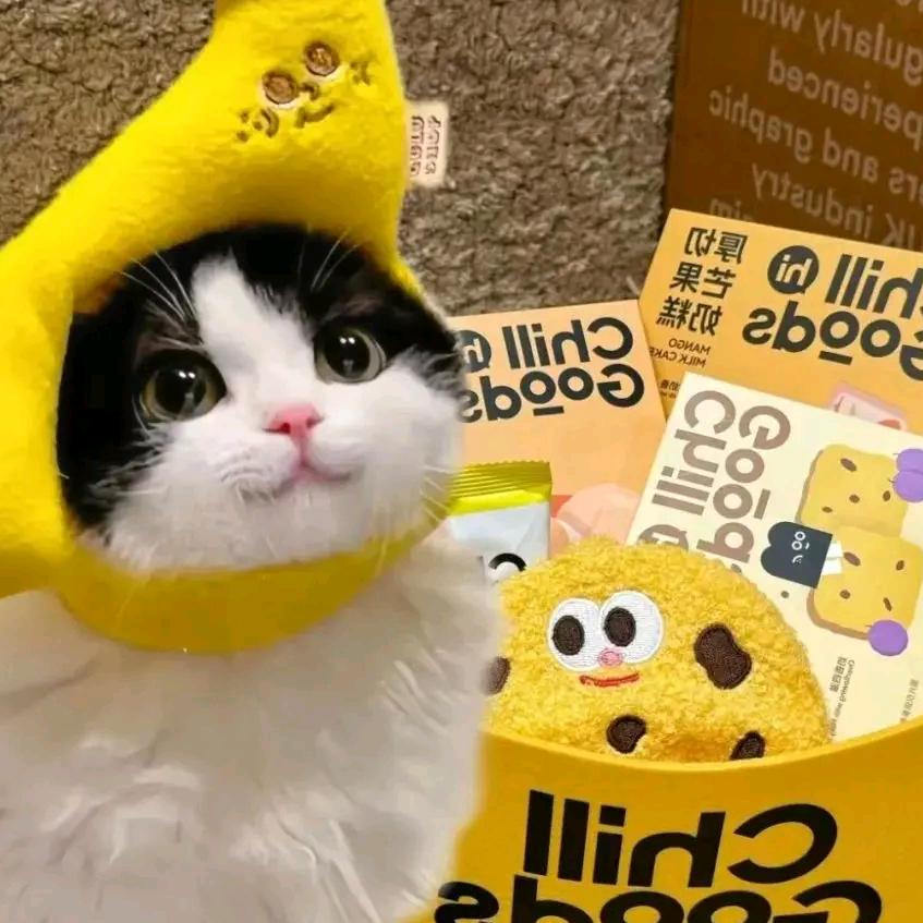 开心小猫