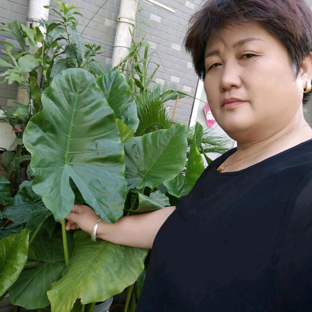 河南中妹