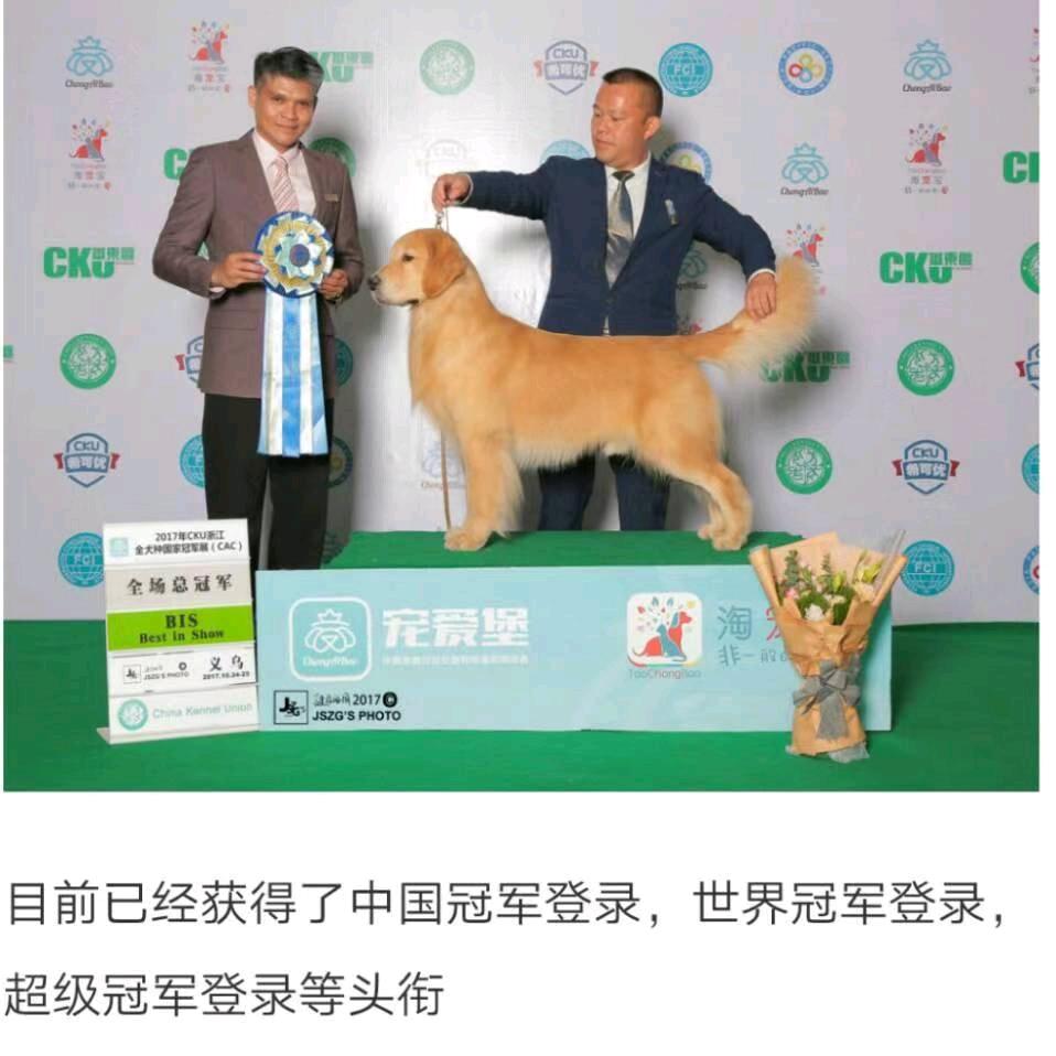 点点寒风  斌哥