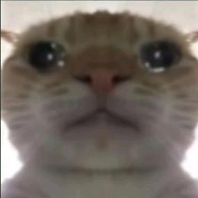 西瓜（三角洲行动）