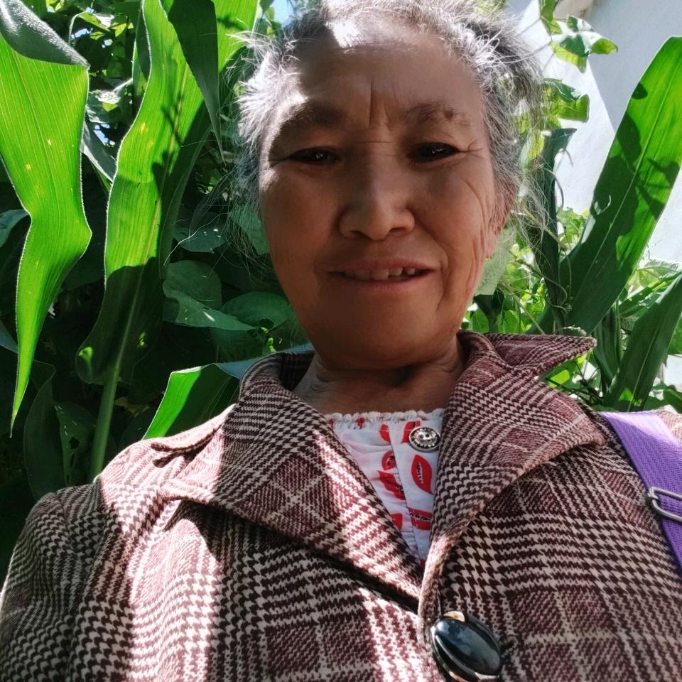 桃花💐