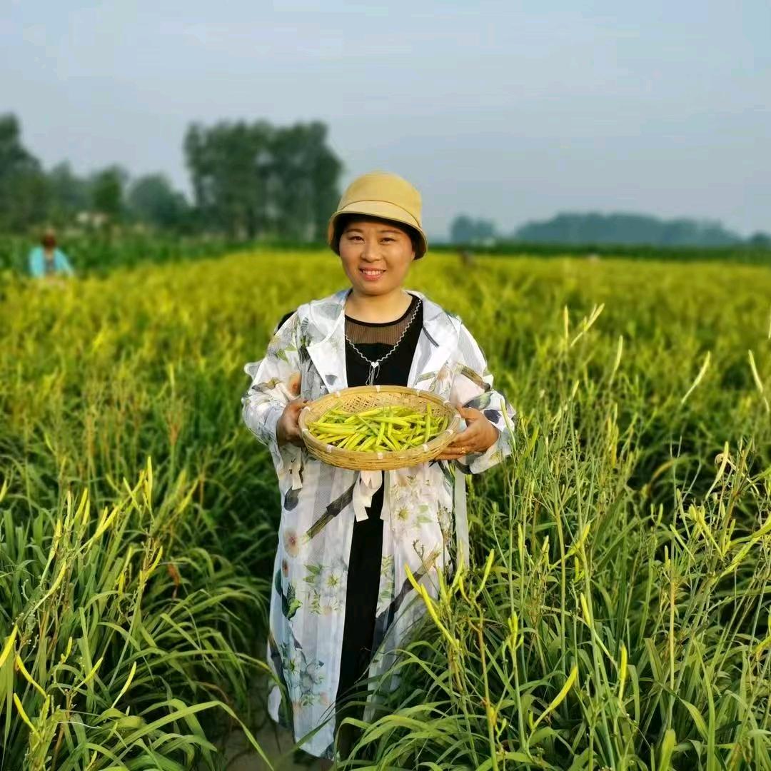 农村丽姐