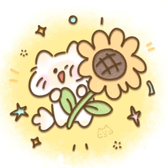 十一呀ˠ🌻