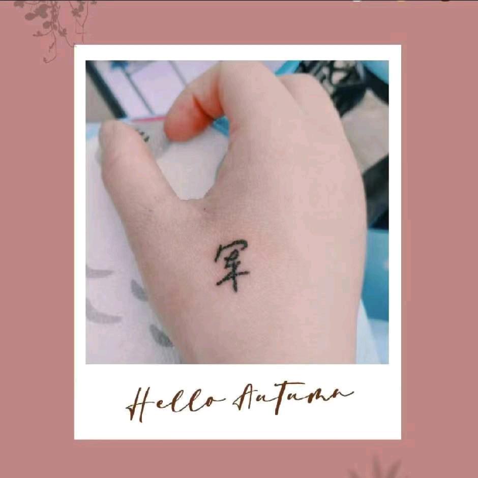 刺猬无刺🦔🦔