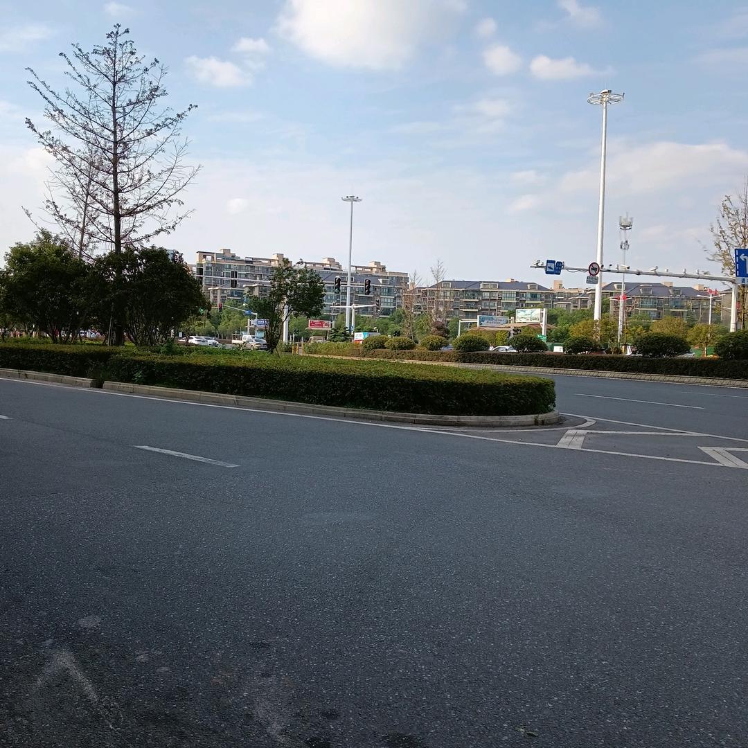 清泽