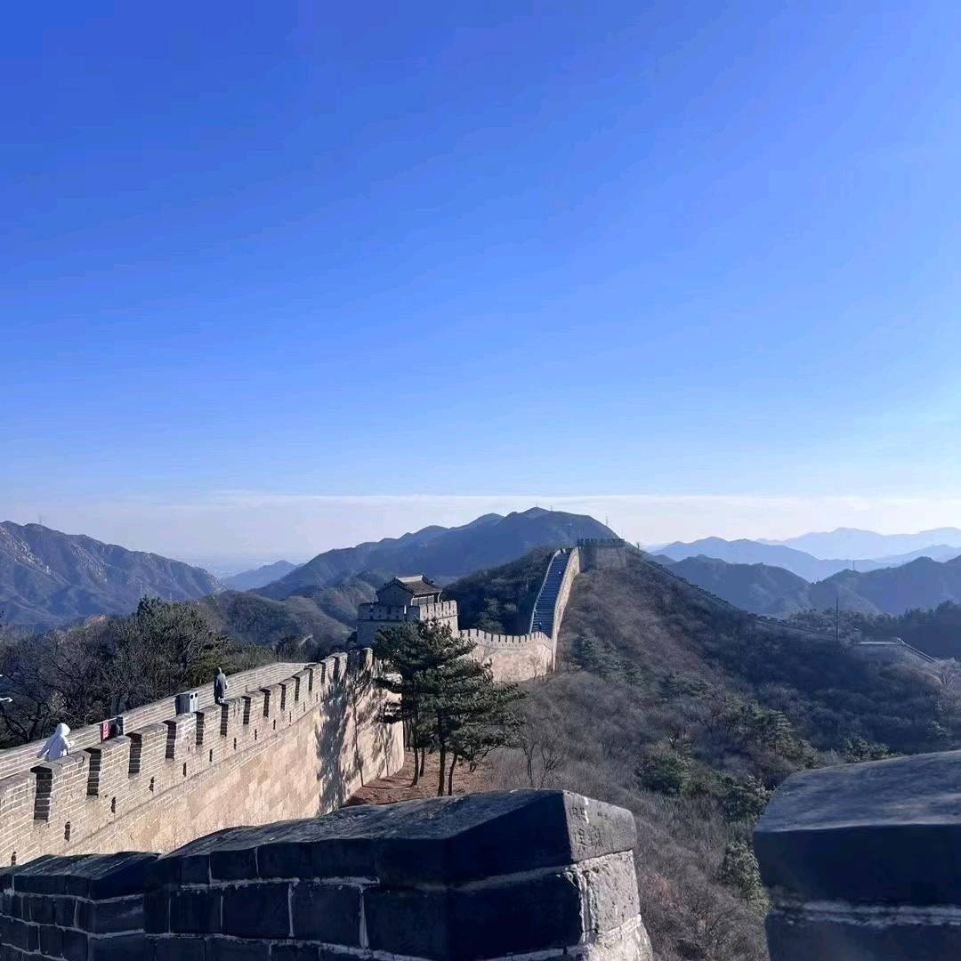 心若菩提，