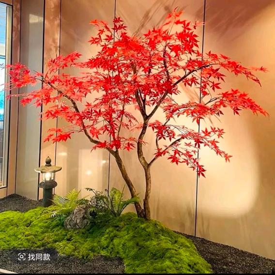 你我暮年 闲坐庭院