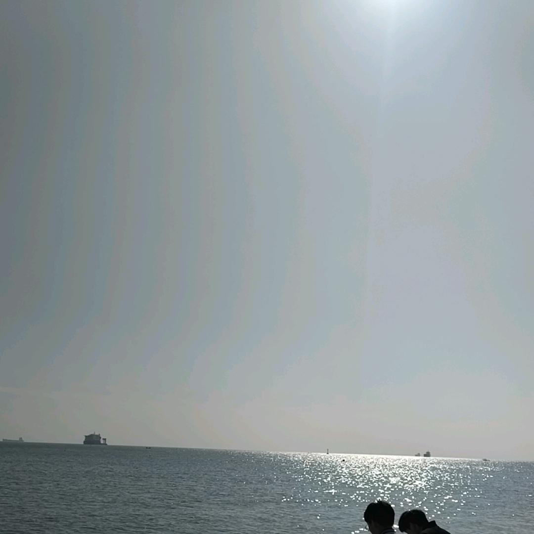 轻时来客