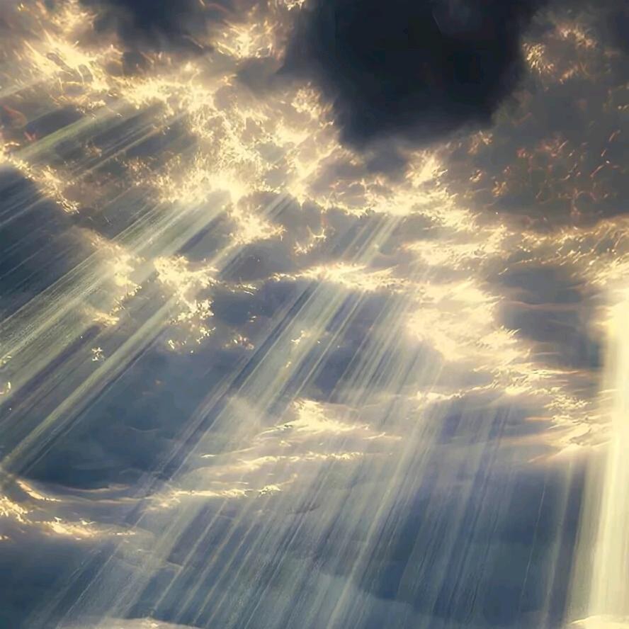 空空已空空