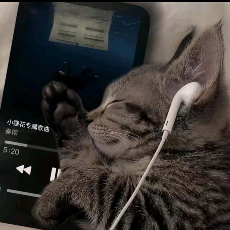🌈薯条 _(阿k苦力猴亚猴奔