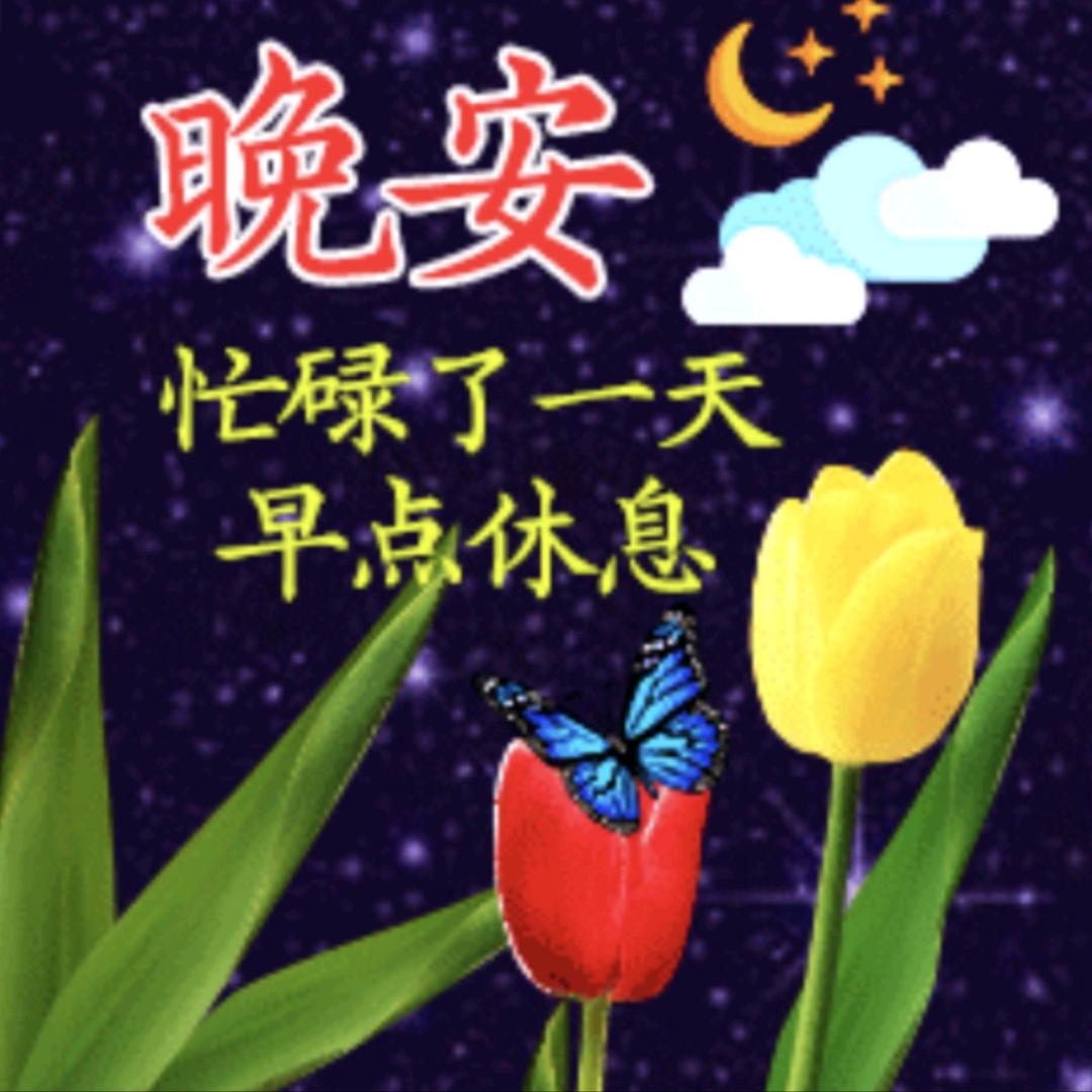 是岩岩