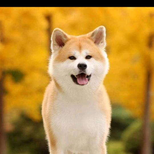 命运生存