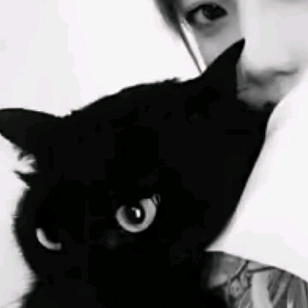 ᅟᅠᅟᅠ火花sc