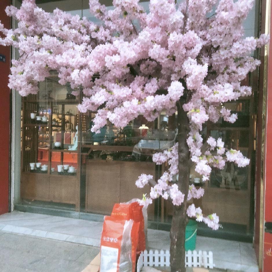 安绿