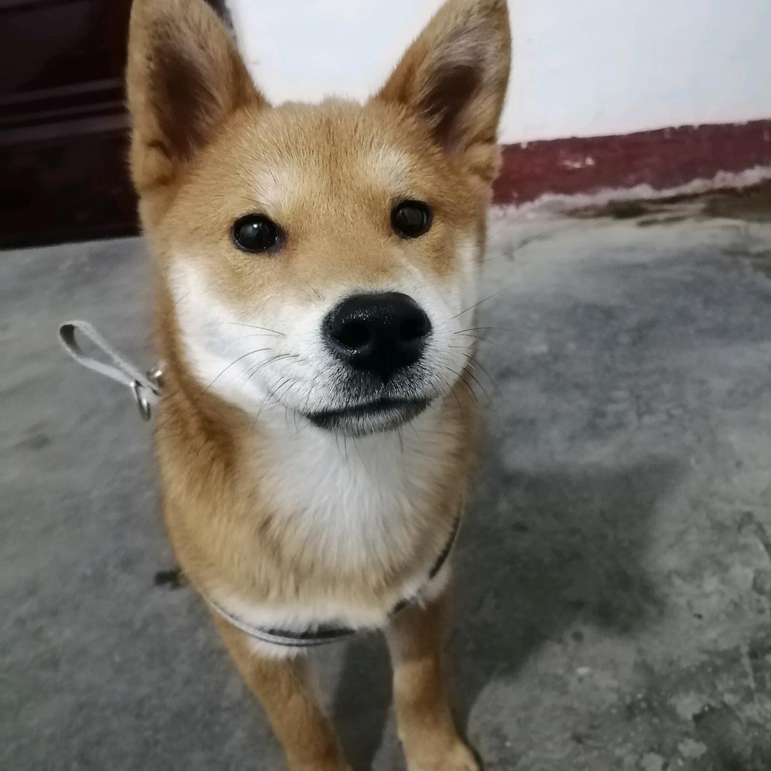 财妞