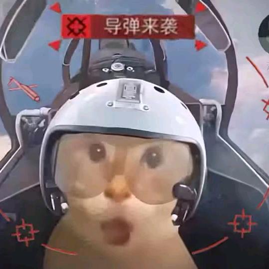 🤡💎👌（跑刀板）