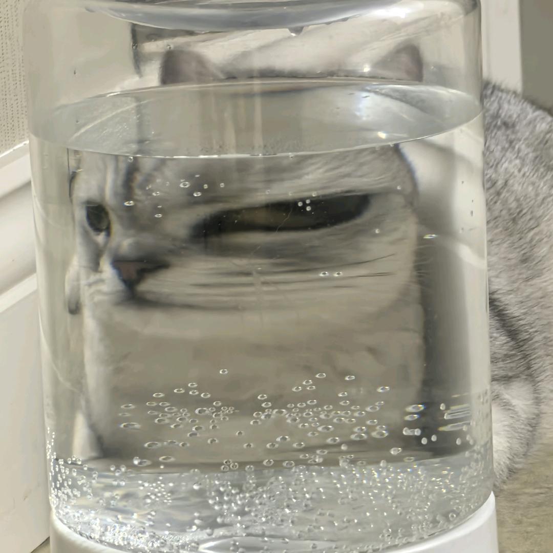 美美公主