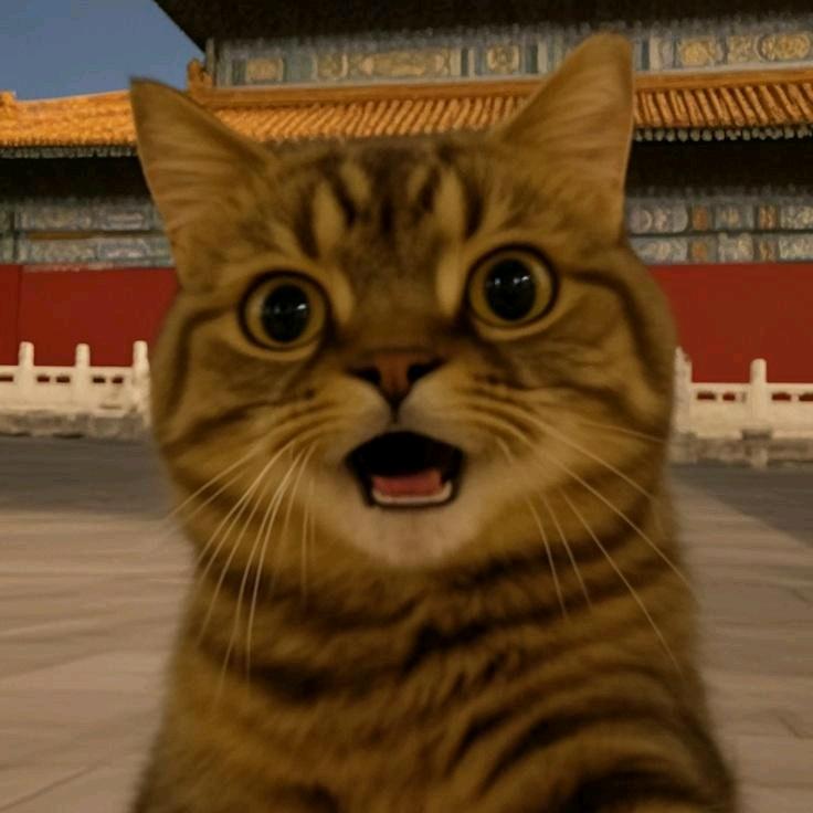 平衡有约