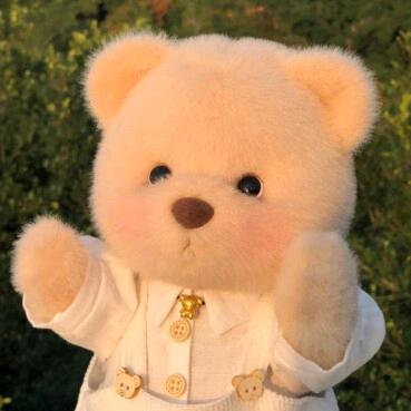 趴趴熊🐻