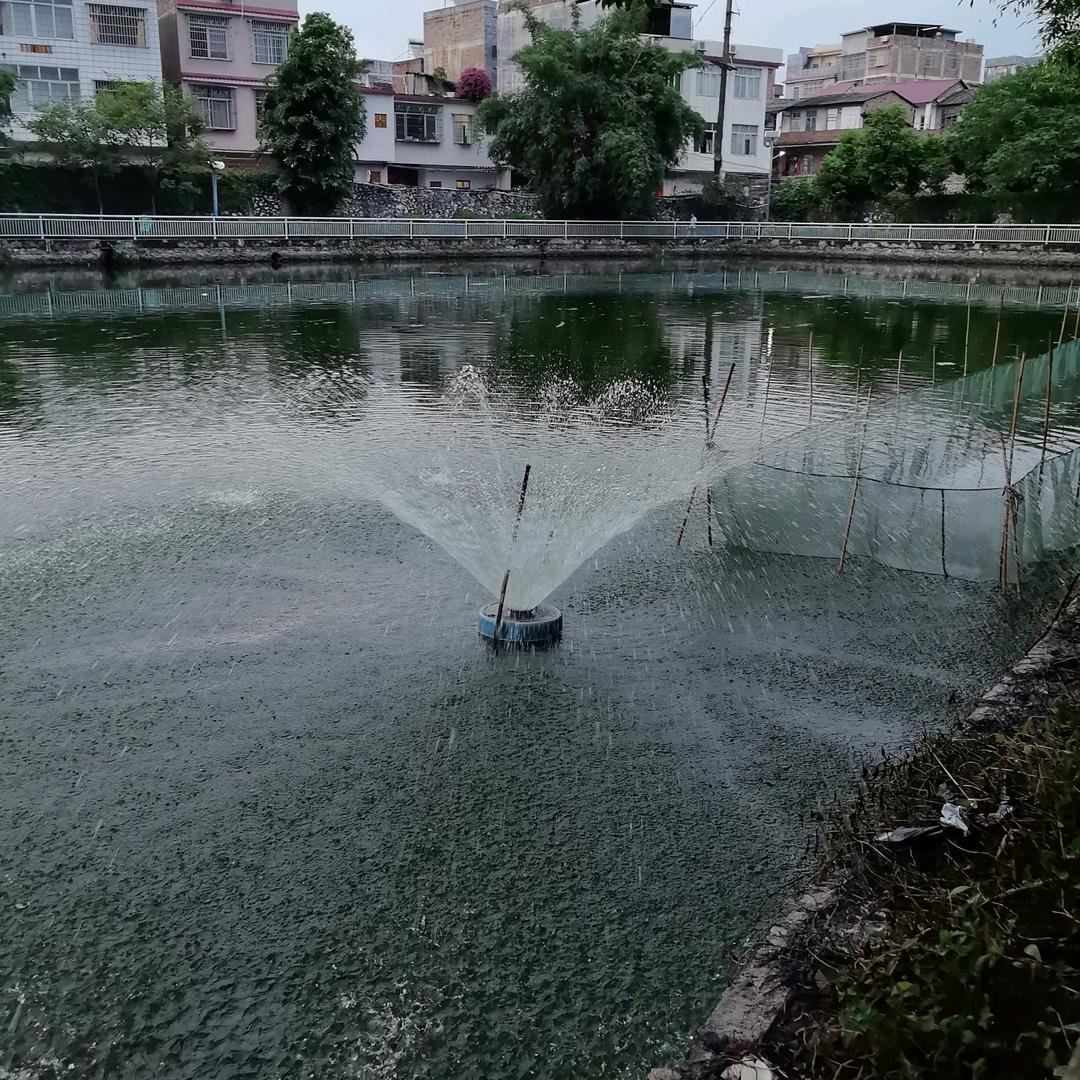 臭骚粥