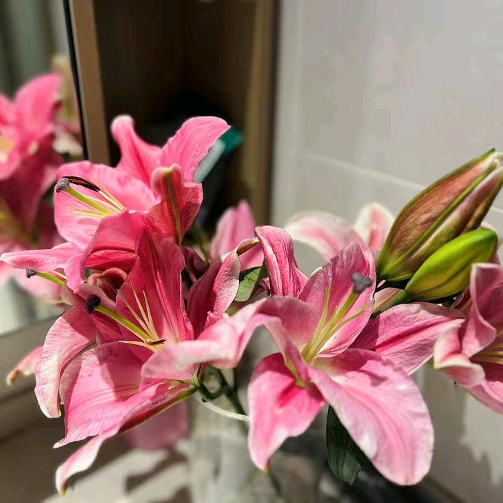暖宝👑