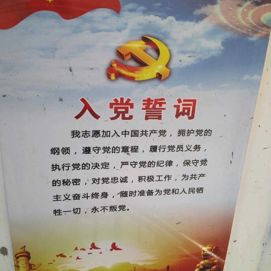 葵花