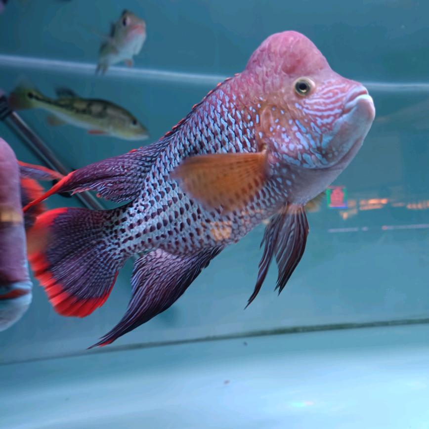 大海🏖️学习日记