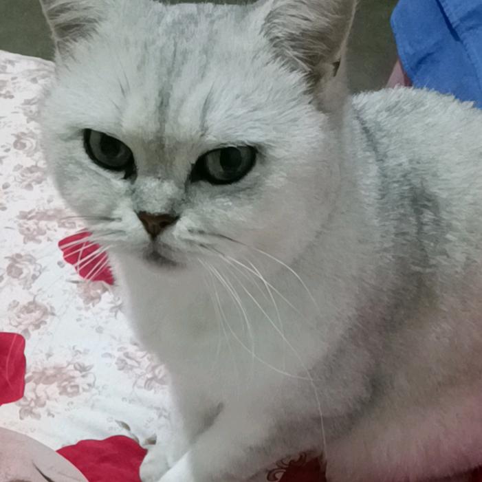 ヾ(❀╹◡╹)ﾉﾞ❀~