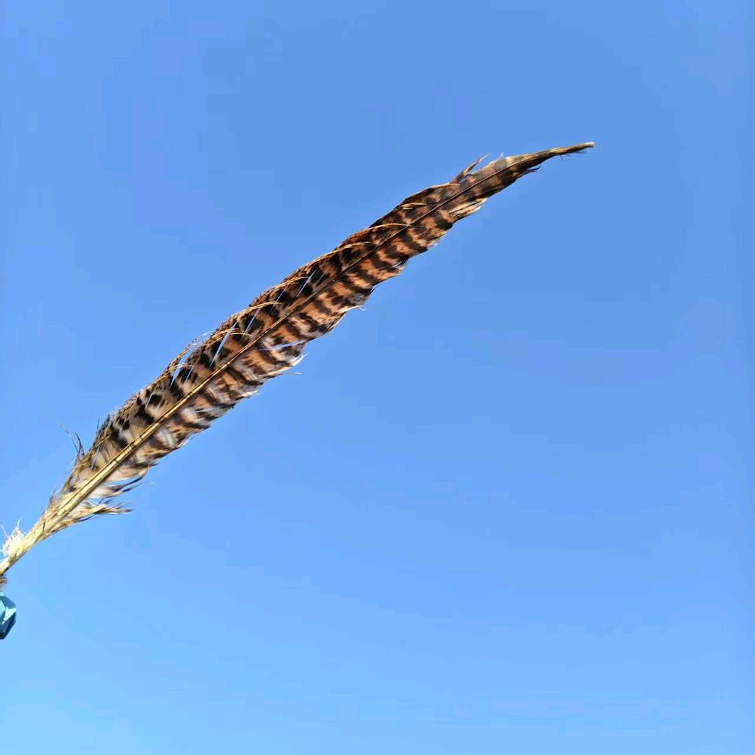 衡水百货大楼金句鸟羊毛衫