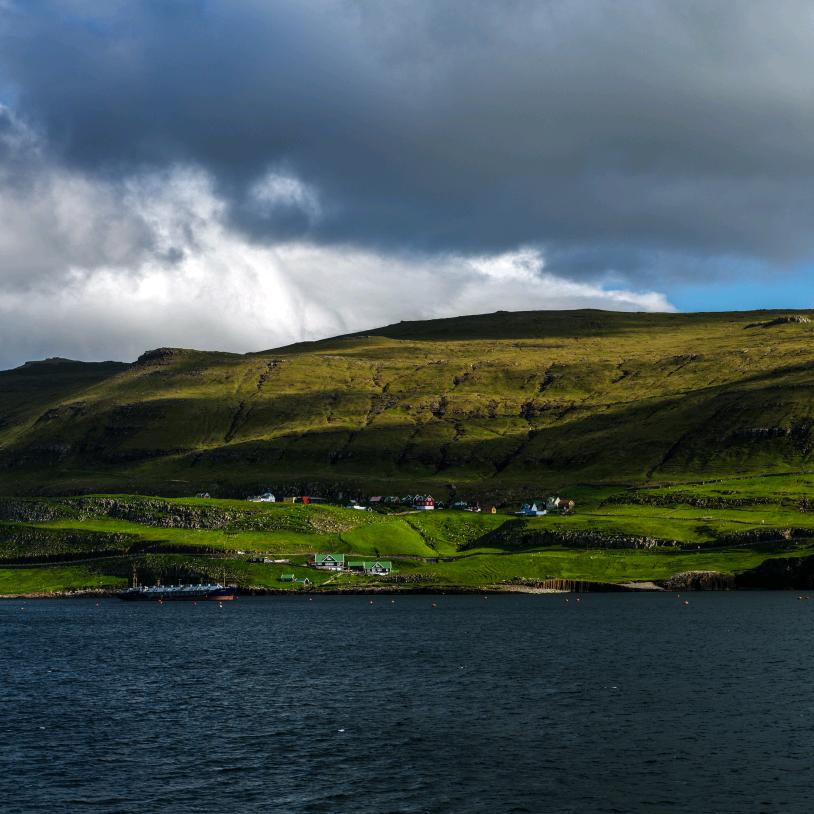 不会过片的贤斗📷