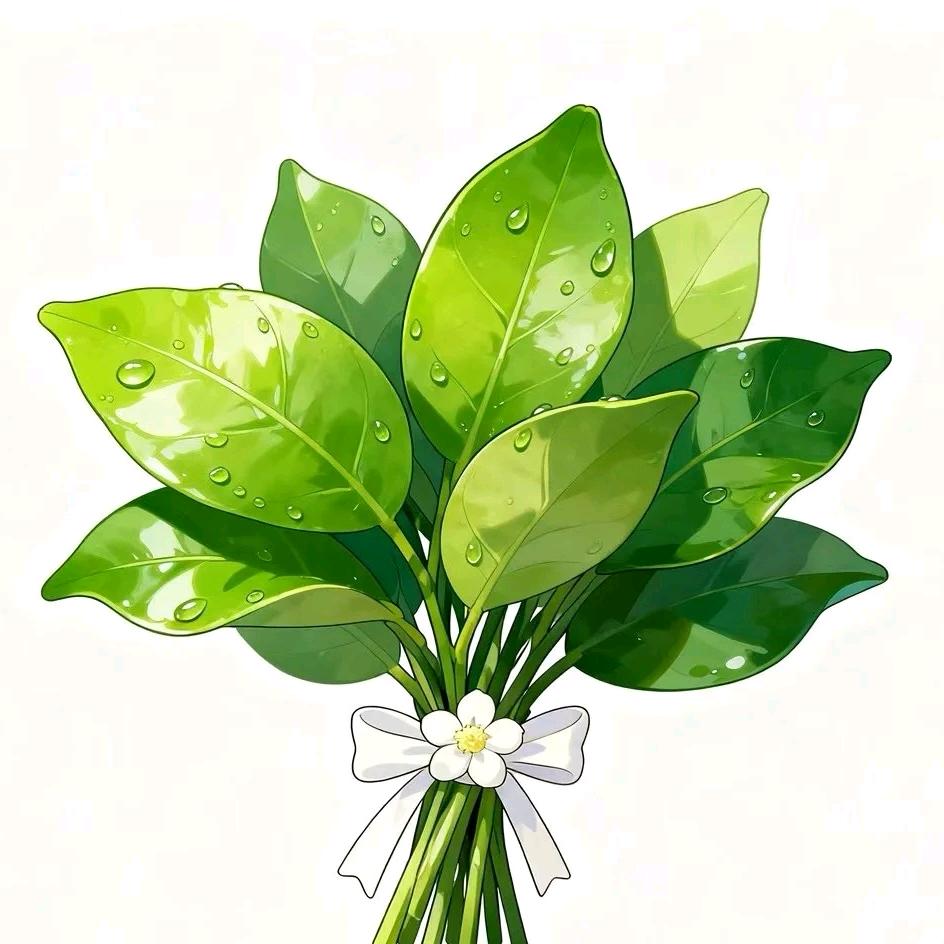 𝓟𝓩𝓨.𝓛𝓸𝓿𝓮