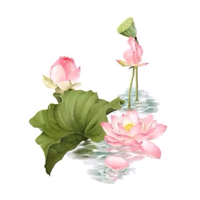 兰风拂秋