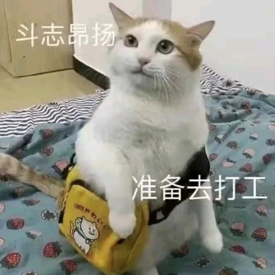 ▁怶婩錵