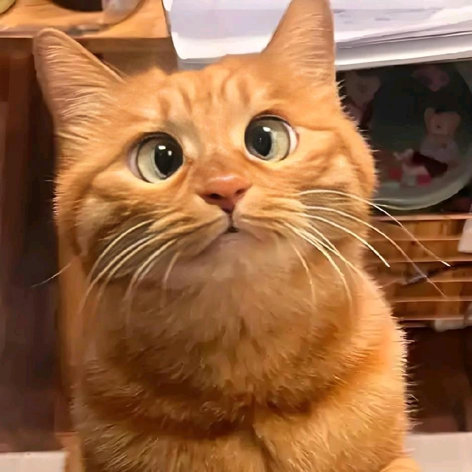 神惬宅配家居生活旗舰店