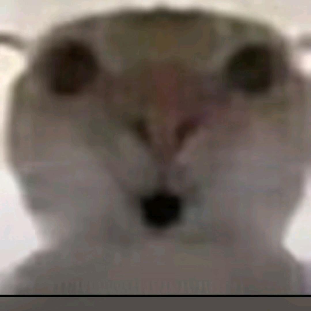 鼠鼠