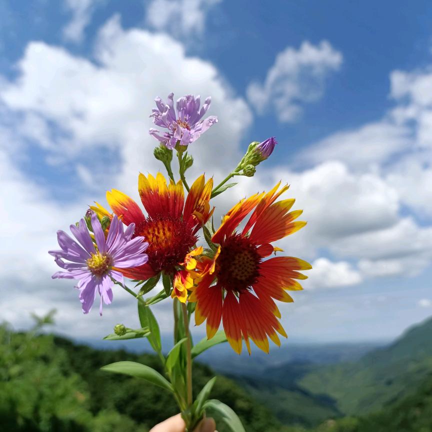 快乐玲341670197034