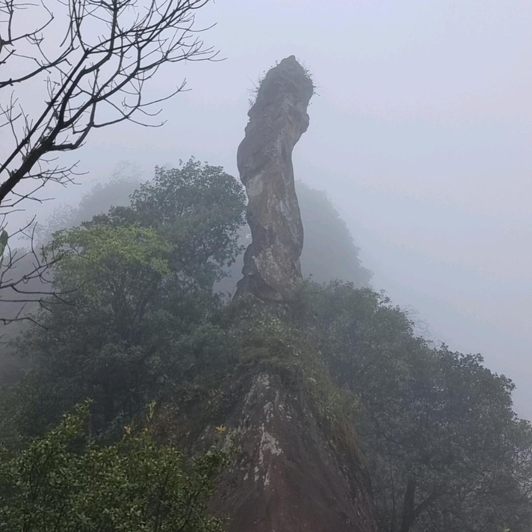 大毛哥带你开挖机