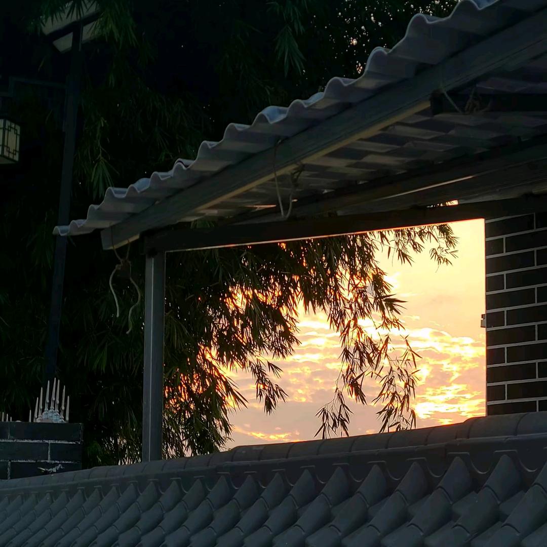 宸皖