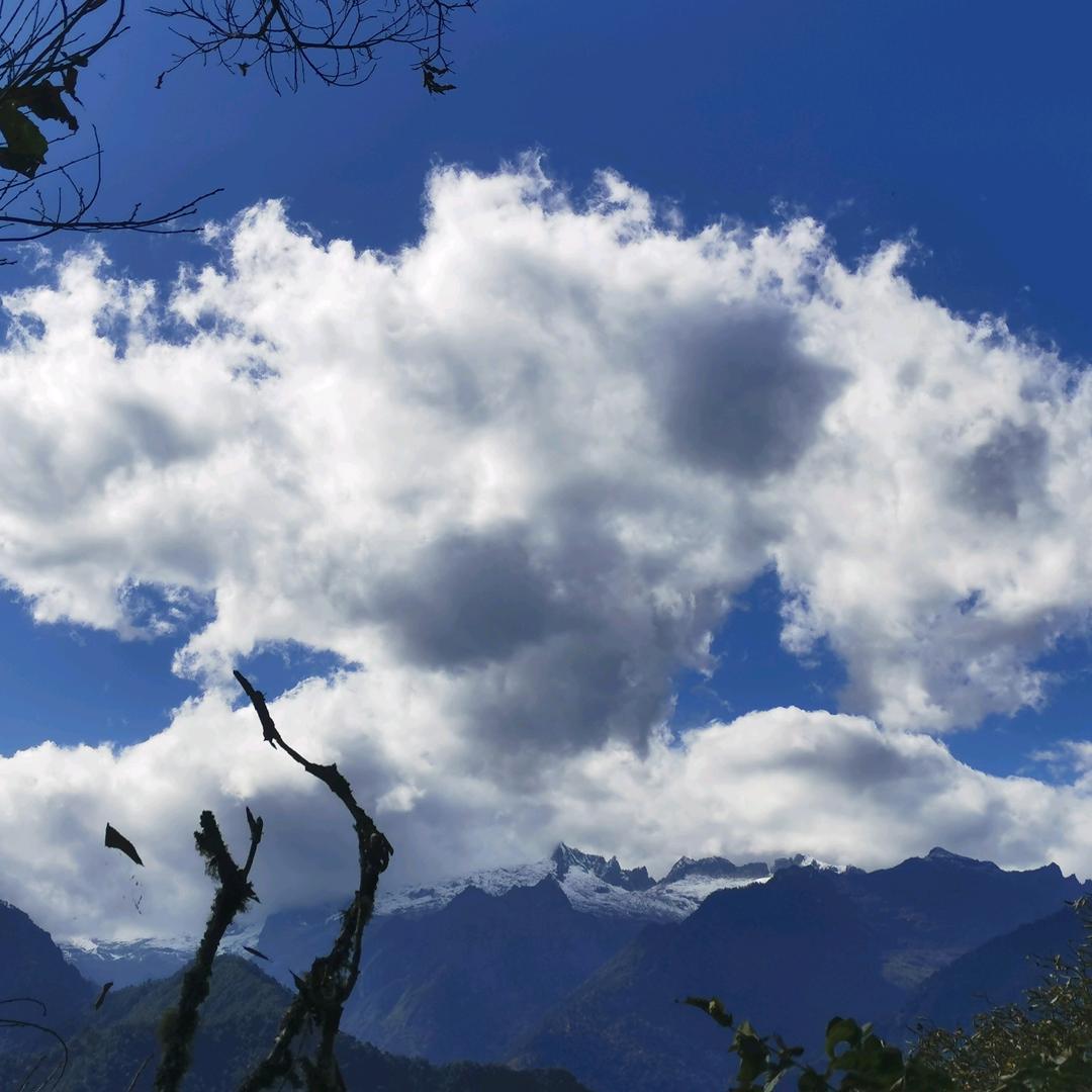 宁负天下不负你