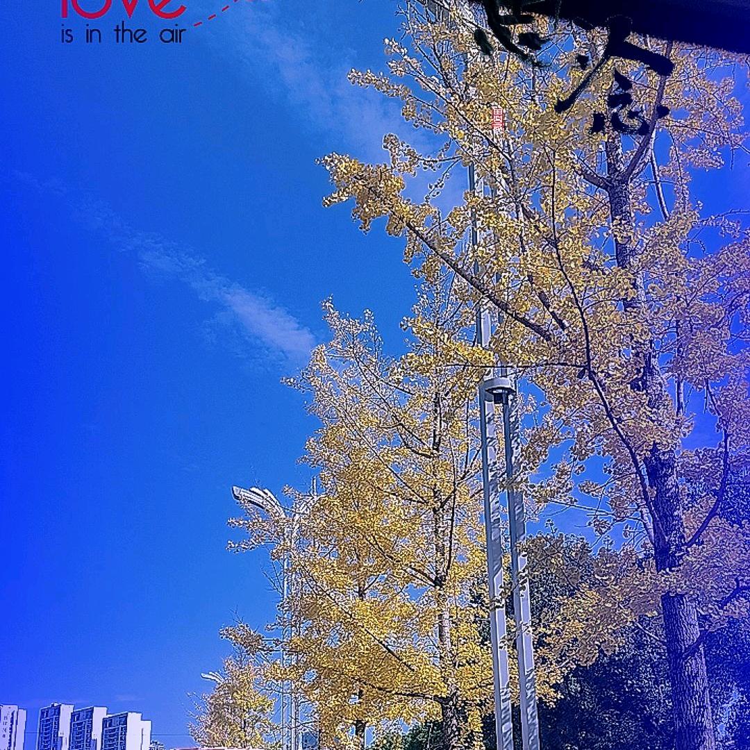 ꧁晴空꫞꯭万里꧂