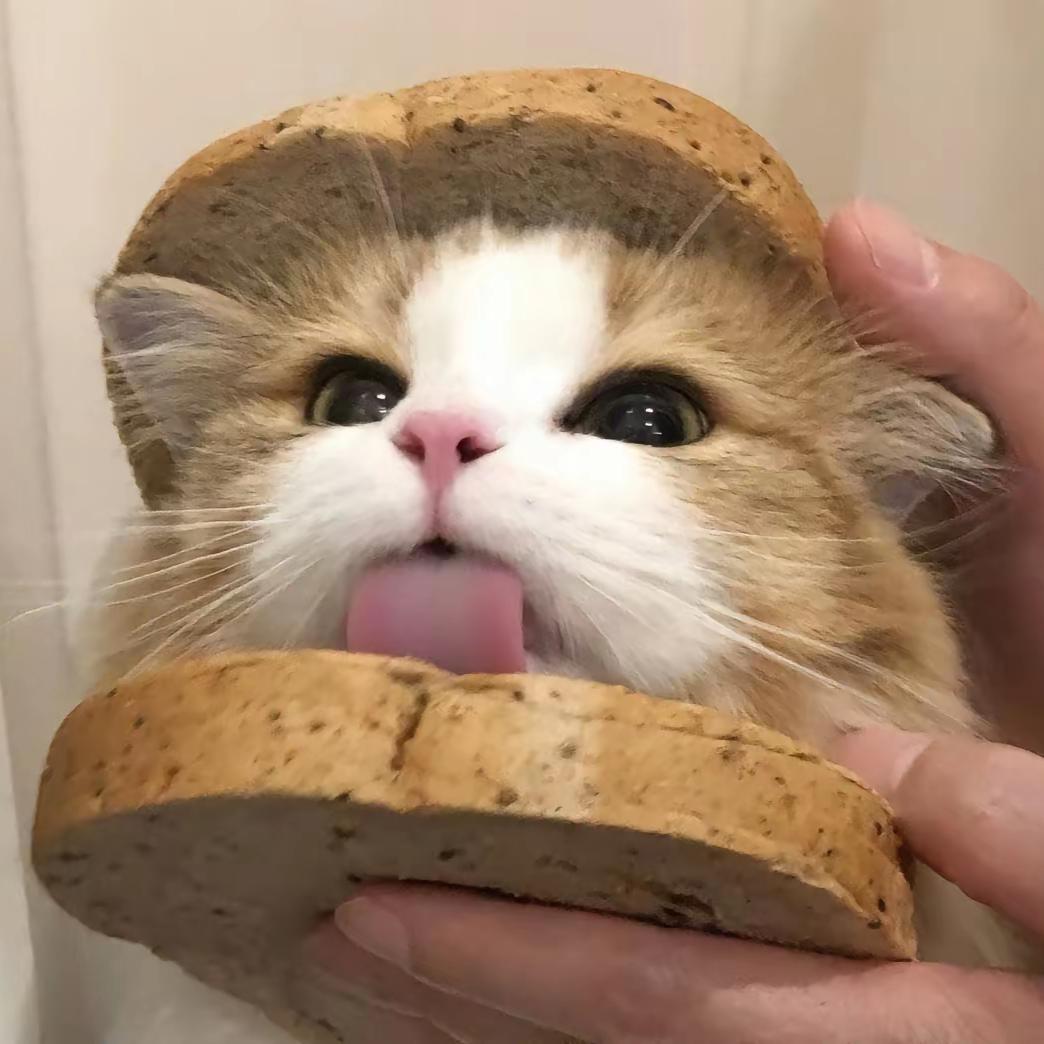 鹑首