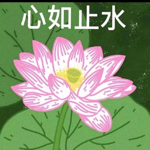 秋风舞红叶