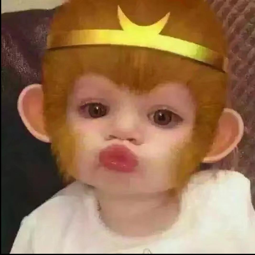 一辈子就活一次