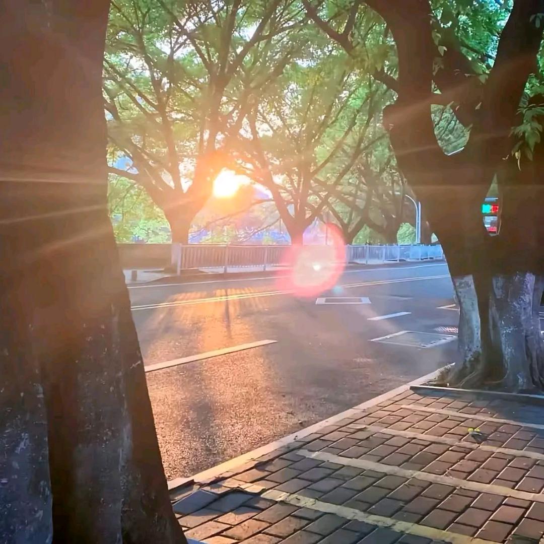 雾眠