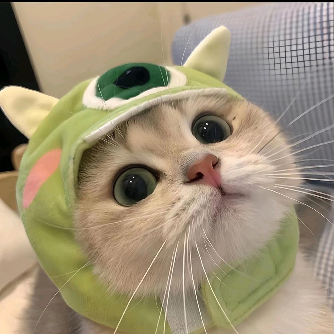 我的爱很小声✨