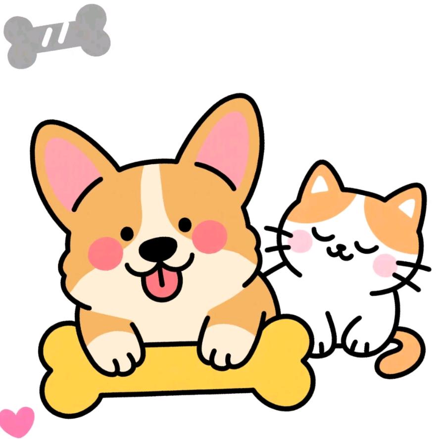 佳佳卖猫粮狗粮｜粮心价